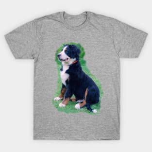 Bernese Mountain Dog T-Shirt